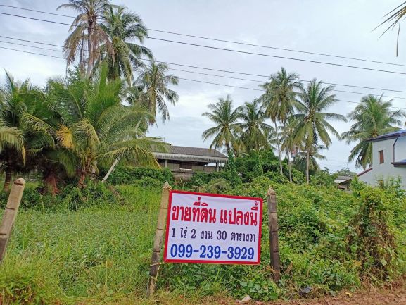 ขายที่ดิน แยกดอนรัก ใกล้เมืองปัตตานี ราคาถูก